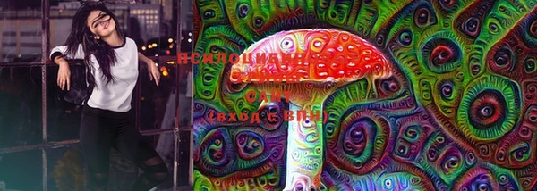 ГАЛЛЮЦИНОГЕННЫЕ ГРИБЫ Кинешма