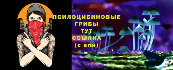 ГАЛЛЮЦИНОГЕННЫЕ ГРИБЫ Кинешма